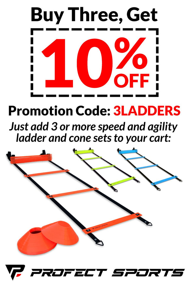 Pro Agility Ladder and Cones - 15 ft Fixed-Rung Speed Ladder with 12 Disc Cones for Soccer, Football, Sports Training - Includes Heavy Duty Carry Bag, 4 Metal Stakes and Top 20 Agility Drills eBook